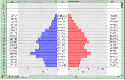 人口ピラミッド作図のプログラム2